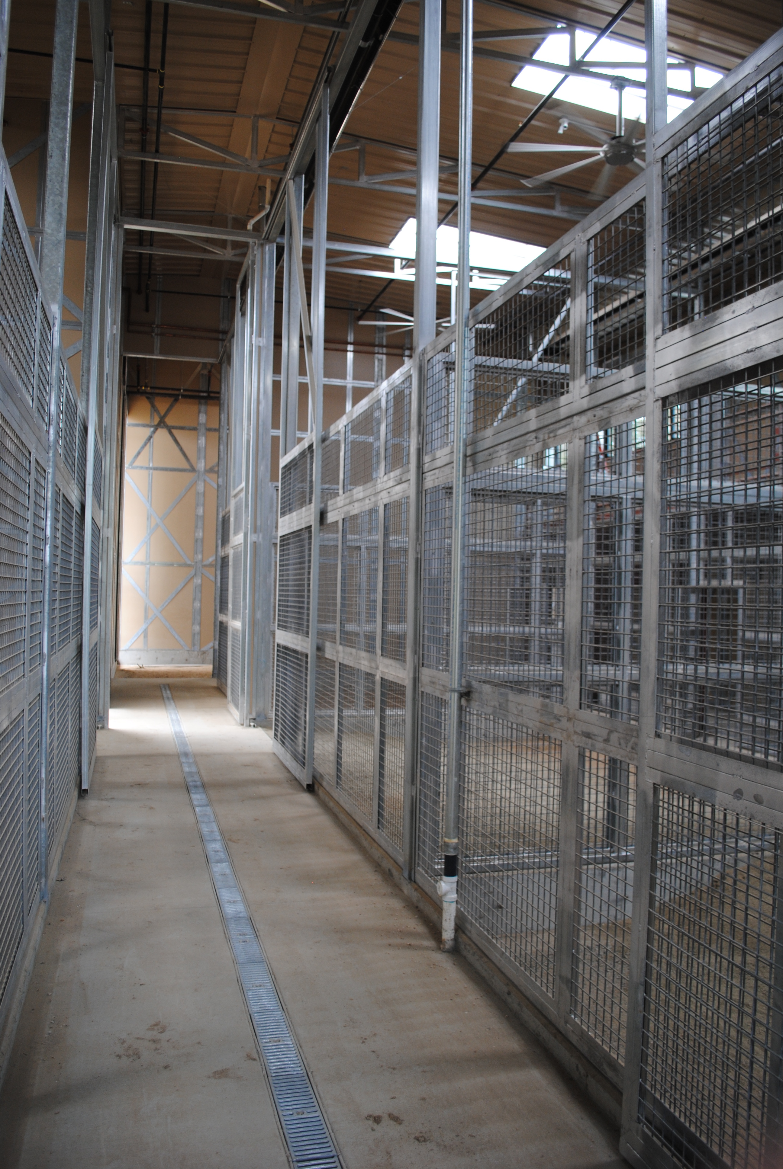 caging-a-thru-z-consulting-distributing-inc